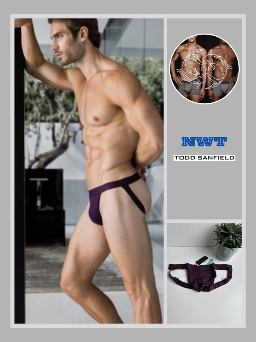 Todd Sanfield - Essential Jock - Dark Purple (L)